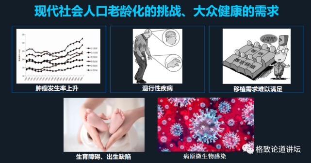 再生医学|在未来，再生医学能够对我们身体“零件”进行直接的更换？