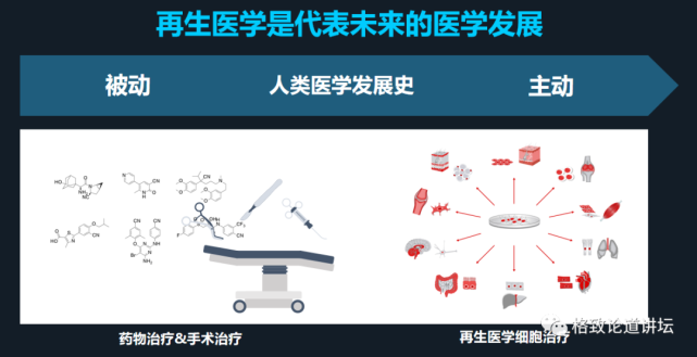 再生医学|在未来，再生医学能够对我们身体“零件”进行直接的更换？