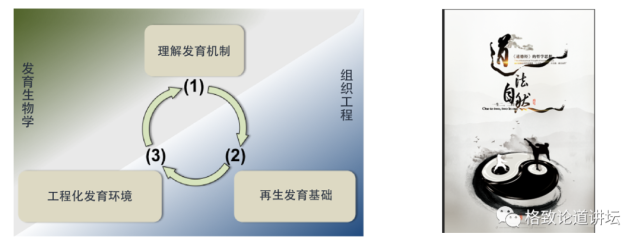 再生医学|在未来，再生医学能够对我们身体“零件”进行直接的更换？