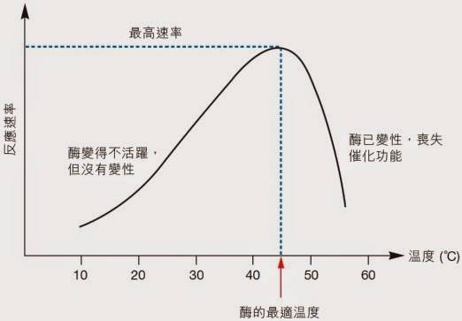 缅甸蟒|我国体型最大的蛇，在美国被肆意猎杀，我国却偏偏要保护