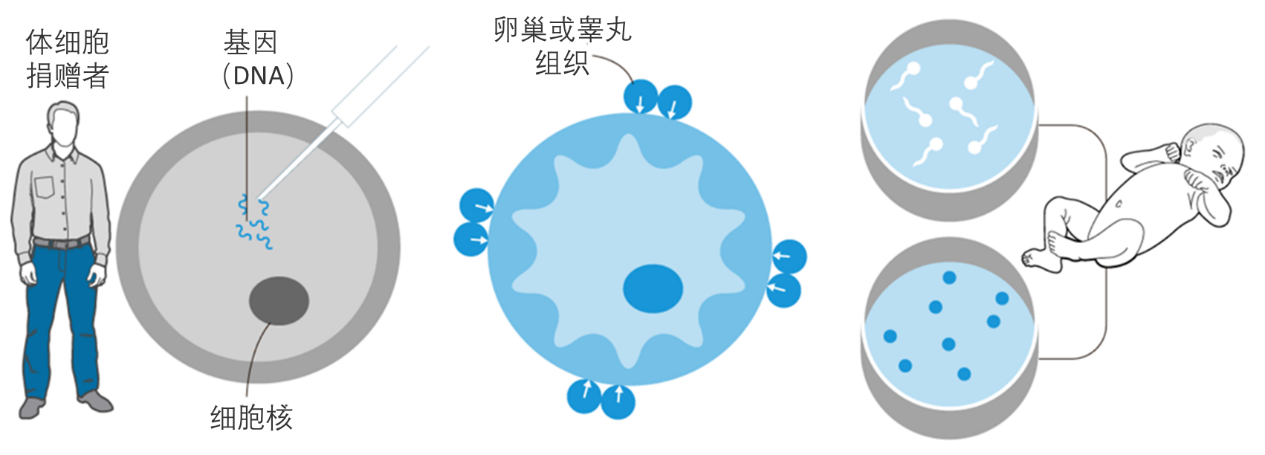 图源：Guardian graphic