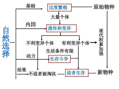 岛屿|为什么全球各地普遍存在“蛇岛”，并且岛上的蛇还越来越毒？