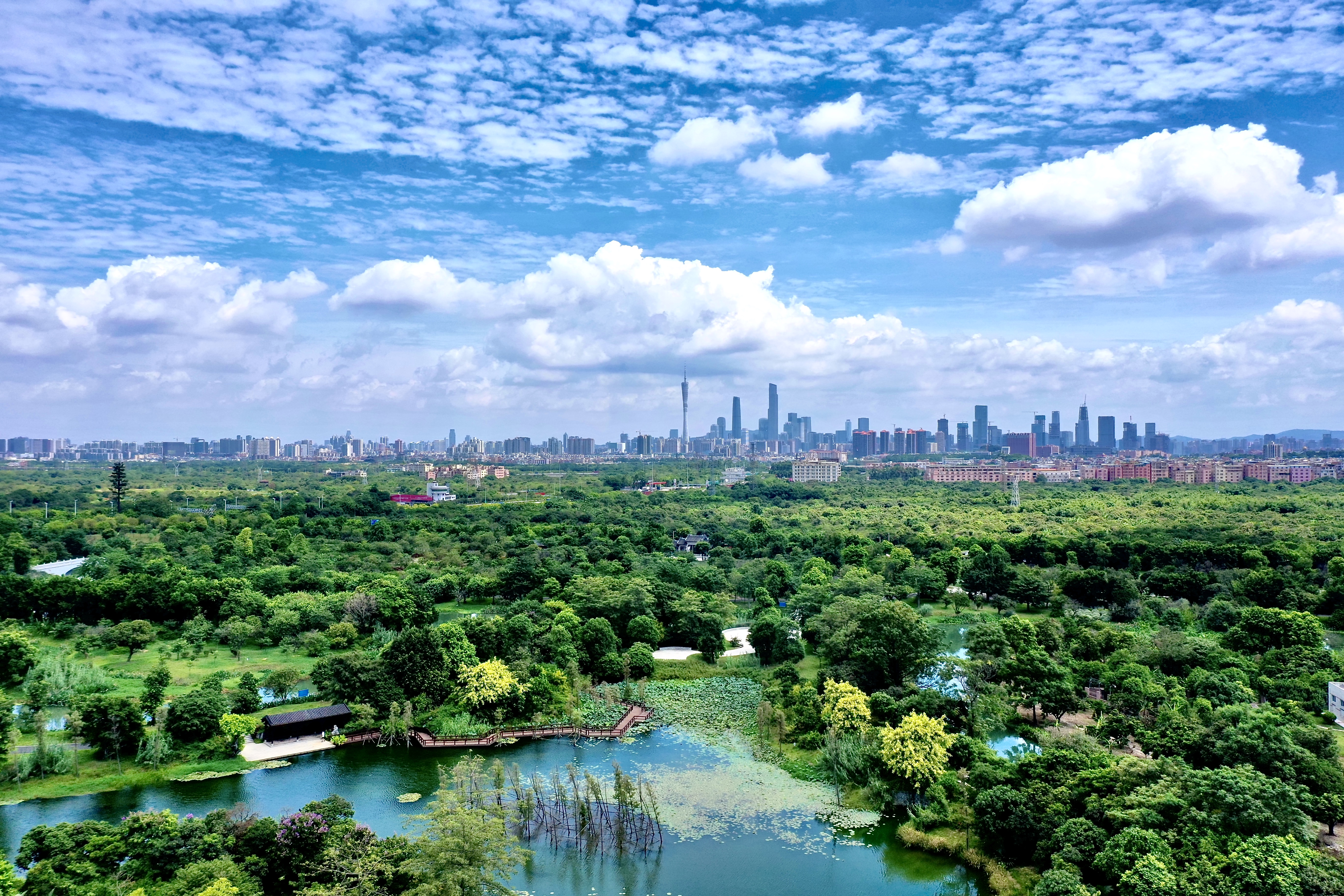 广州海珠2035远景目标:琶洲建成世界一流的数字经济示范区