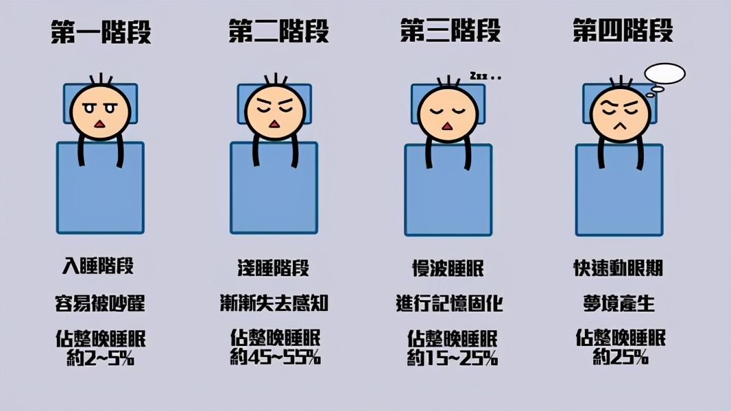 睡眠|你真的会睡觉吗？重要的不是睡8小时，而是睡够4-5睡眠周期
