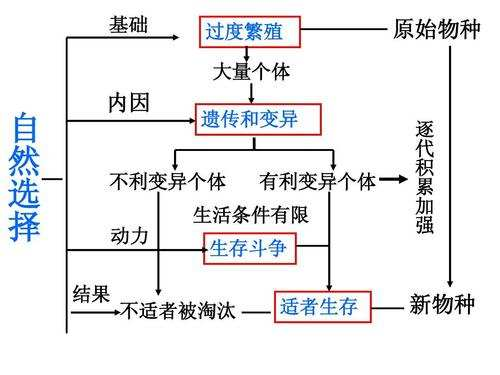 科学|11000年前，地球的一次发烧，孕育了全球最毒的蛇岛