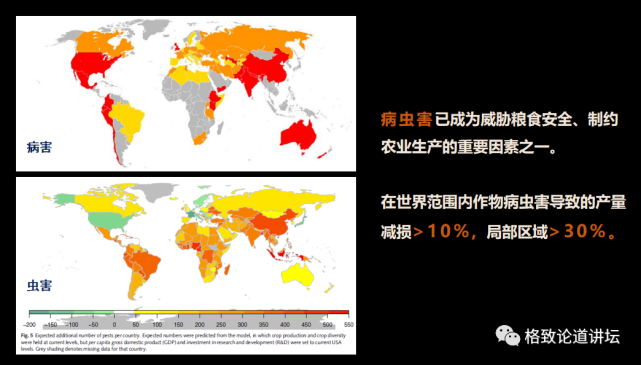 蝗虫|全球近19亿人遭遇粮食危机，竟是因为它们