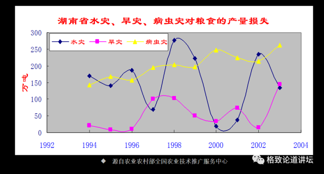 蝗虫|全球近19亿人遭遇粮食危机，竟是因为它们