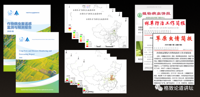 蝗虫|全球近19亿人遭遇粮食危机，竟是因为它们