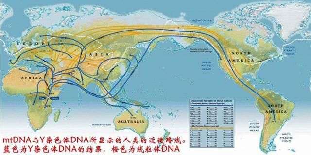 科学|地球上原本没有人，那第1个男人和女人是咋来的？
