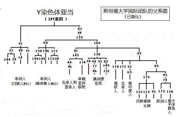 科学|地球上原本没有人，那第1个男人和女人是咋来的？