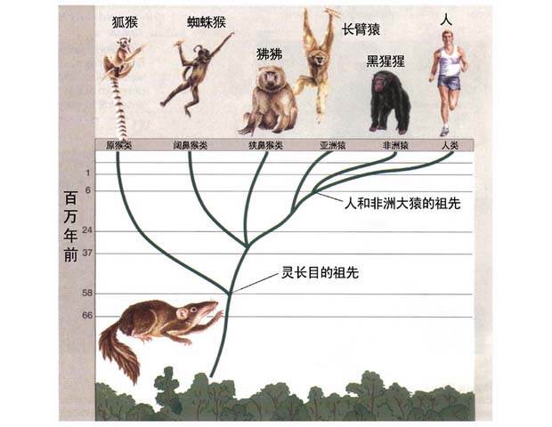 科学|地球上原本没有人，那第1个男人和女人是咋来的？