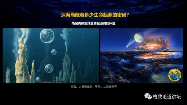 深海生物|为解决繁衍问题，这个稀有的深海生物开发出了雌雄同体