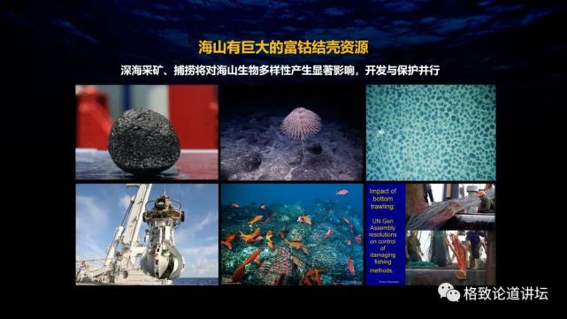 深海生物|为解决繁衍问题，这个稀有的深海生物开发出了雌雄同体