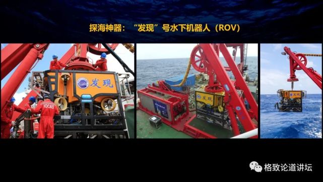 深海生物|为解决繁衍问题，这个稀有的深海生物开发出了雌雄同体