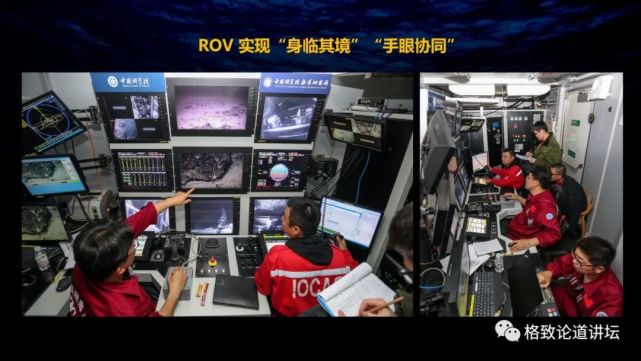 深海生物|为解决繁衍问题，这个稀有的深海生物开发出了雌雄同体