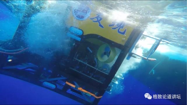 深海生物|为解决繁衍问题，这个稀有的深海生物开发出了雌雄同体