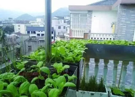 天问|天问“拍了拍”火星后，网友的这个问题刷屏
