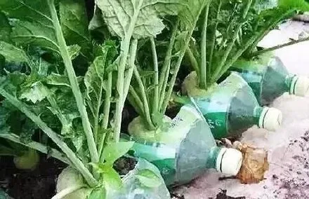 天问|天问“拍了拍”火星后，网友的这个问题刷屏