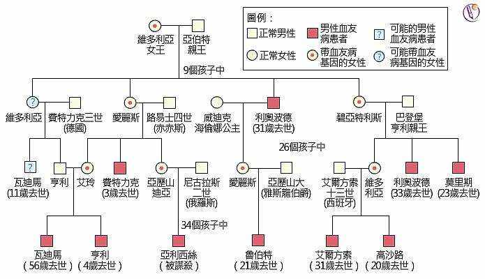 象龜回交有什麼好處嗎為什麼人類故意讓動物回交