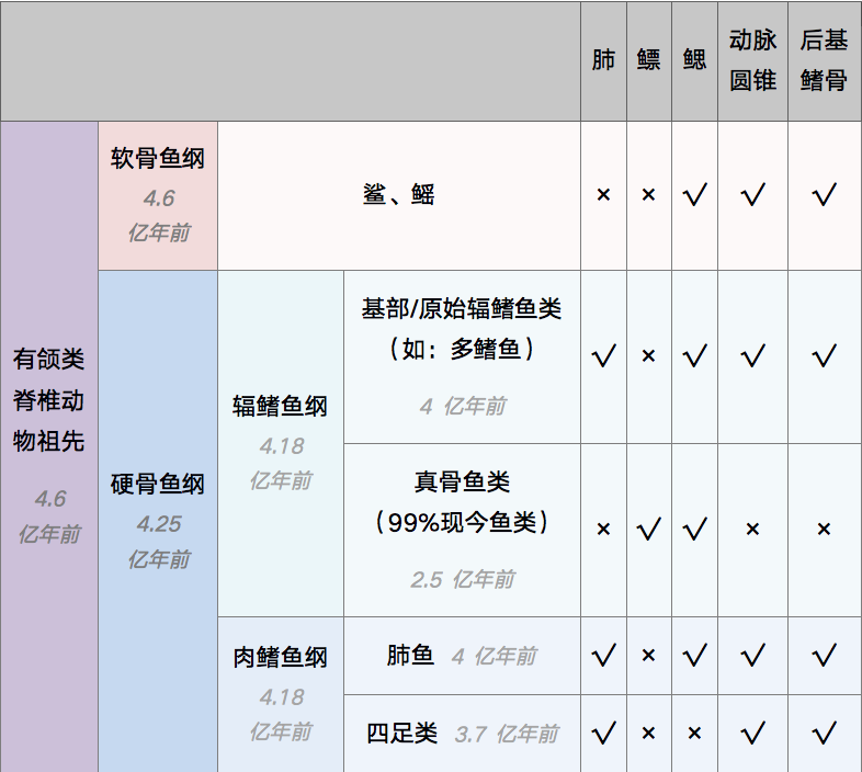 软骨鱼|人类传承了4亿年前鱼祖先的登陆绝技，新生代鱼却把它们弄丢了