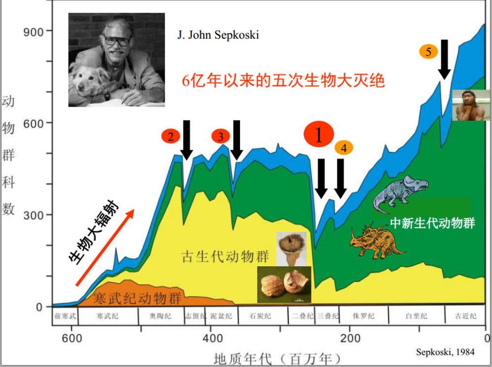 恐龙|2.3亿年前，一场持续200万年的暴雨，让恐龙成了地球霸主