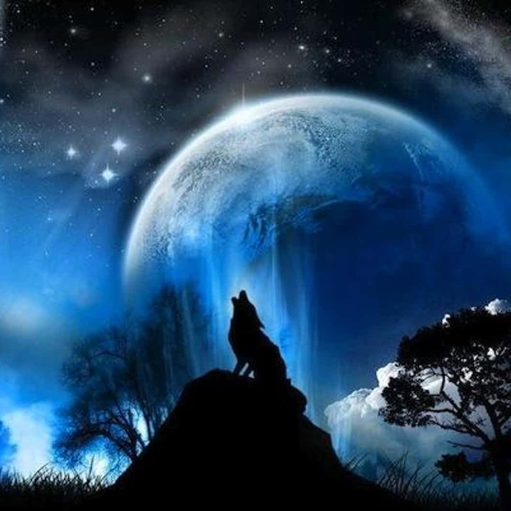 天文|请定好您的闹钟，2月18日-20日晚，夜空可见火星伴月