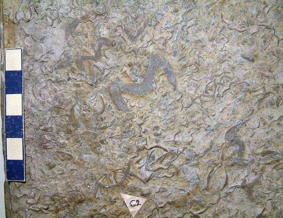 大气层|火星没有生命，地球充满生机，“红蓝兄弟”为何命运截然不同？