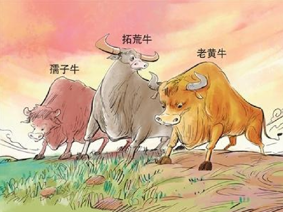 让我们大力发扬孺子牛,拓荒牛,老黄牛精神,以不怕苦,能吃苦的牛劲牛力