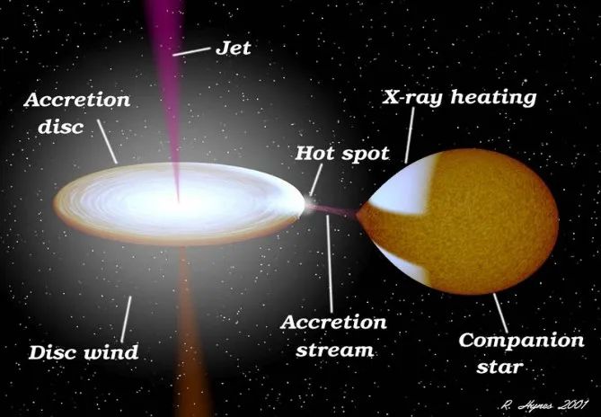 双星绕转图 ， 可以看到伴星的形状发生了严重变形 。 ｜图片来源：NASA