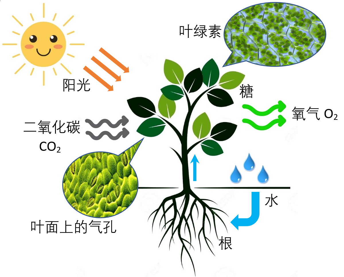 科学|24亿年前地球可能是紫色的，可后来地球为什么变绿了？