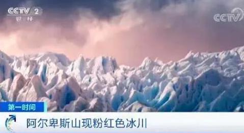 南极|南极又现“西瓜雪”但这一点也不浪漫！南极的情况真有那么糟吗？