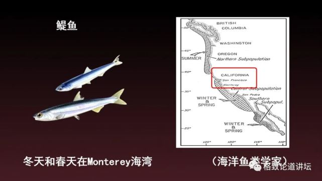 海狮|科学家用了17年，终于擒获杀害海狮的罪魁祸首