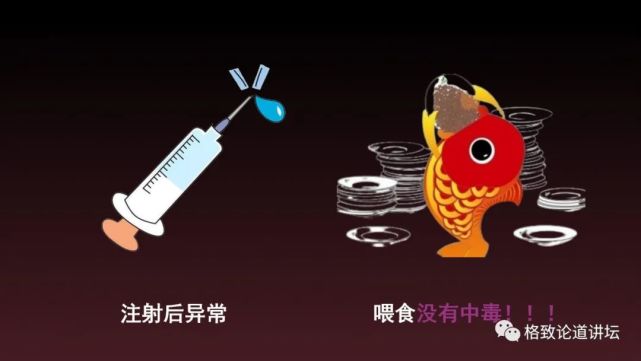 海狮|科学家用了17年，终于擒获杀害海狮的罪魁祸首