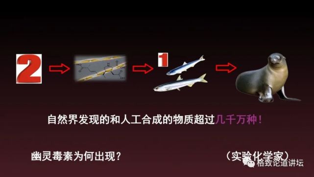 海狮|科学家用了17年，终于擒获杀害海狮的罪魁祸首