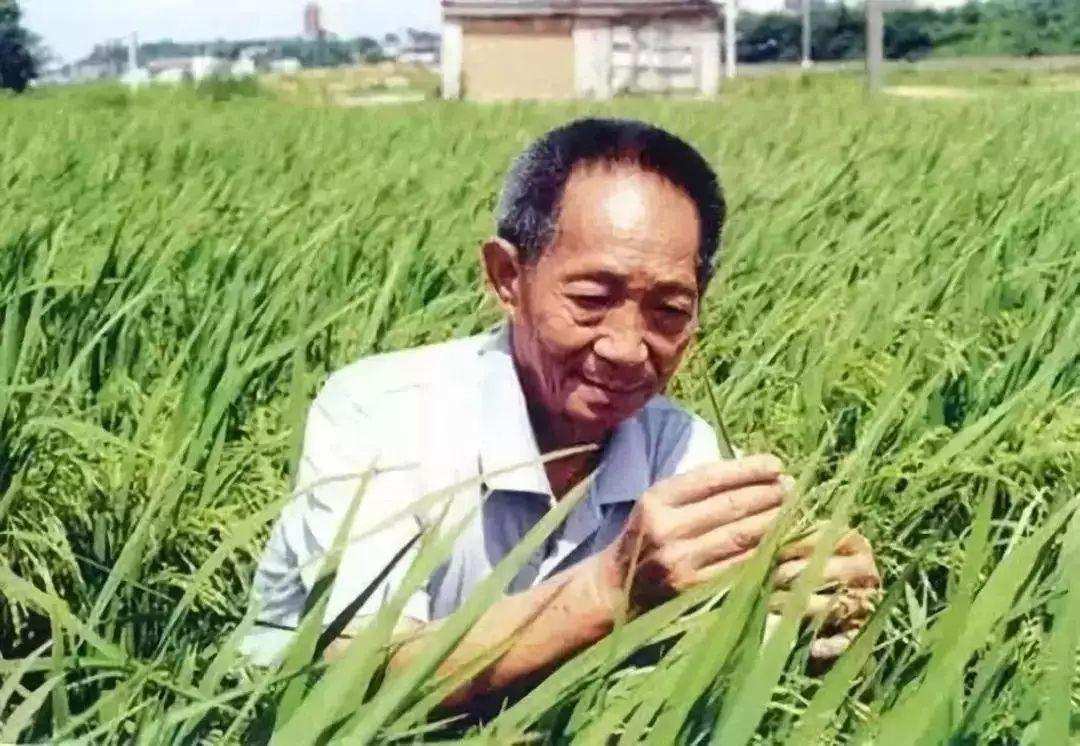 动物|动物回交涉及伦理道德吗，人类为什么要让动物回交？