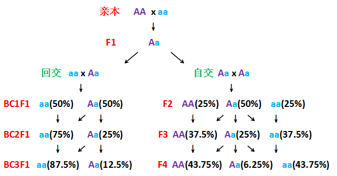 动物|动物回交涉及伦理道德吗，人类为什么要让动物回交？