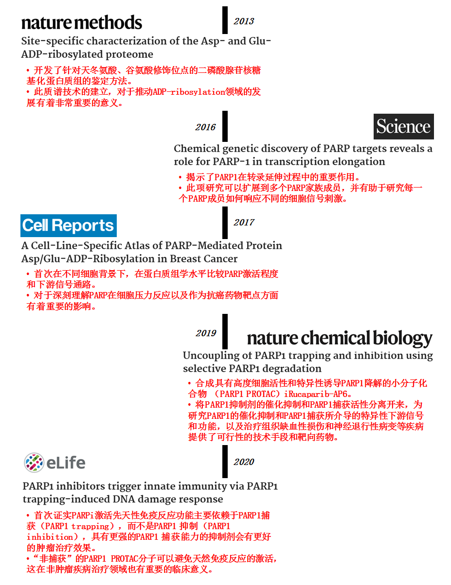图1. PARP和ADP-ribosylation相关工作的总结