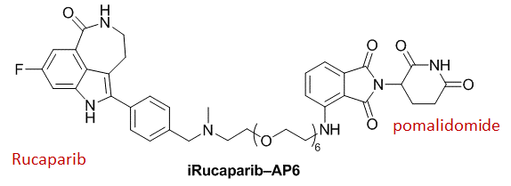 图2. PARP1特异降解PROTAC化学物的结构