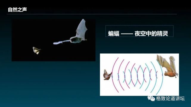 科技|这项完全国产的声学系统，是深潜器们完成任务的“定海神针”