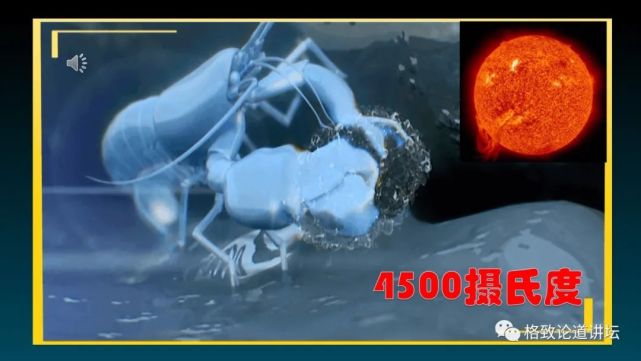 科技|这项完全国产的声学系统，是深潜器们完成任务的“定海神针”