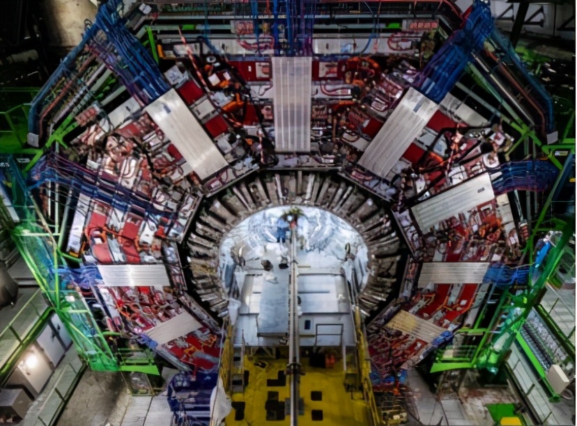 心脏移植|一位物理学家做了心脏移植,没想到……