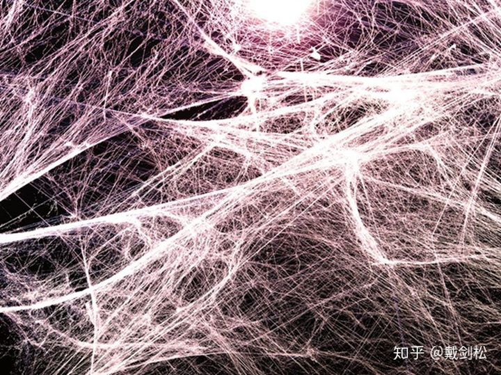 筋膜粘连 来源丨知乎