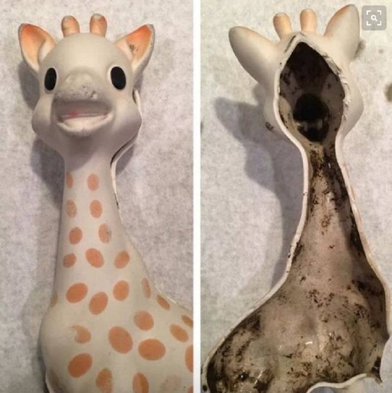 玩具|可怕！“致病洗澡玩具”盯上低龄儿童，家长却浑然不知