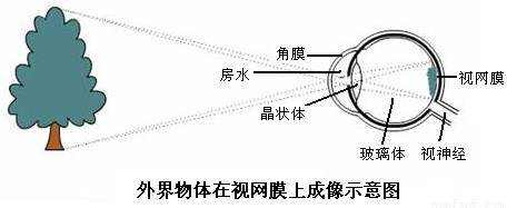 外星生命|站在距地球2242光年的星球上，能否看到秦始皇登基时的盛况？