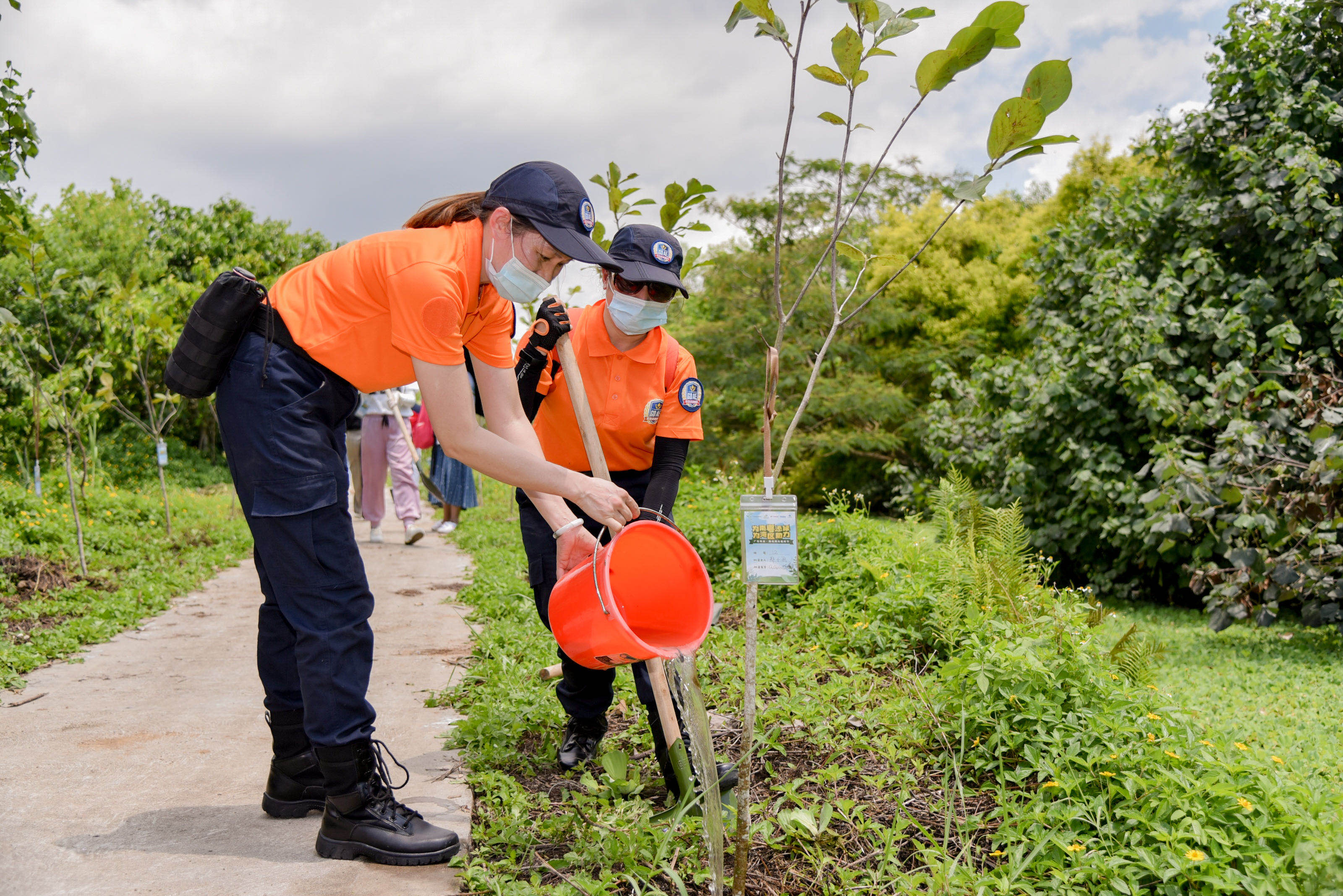 广东掀起春季义务植树热潮,已有近2000万人次参与