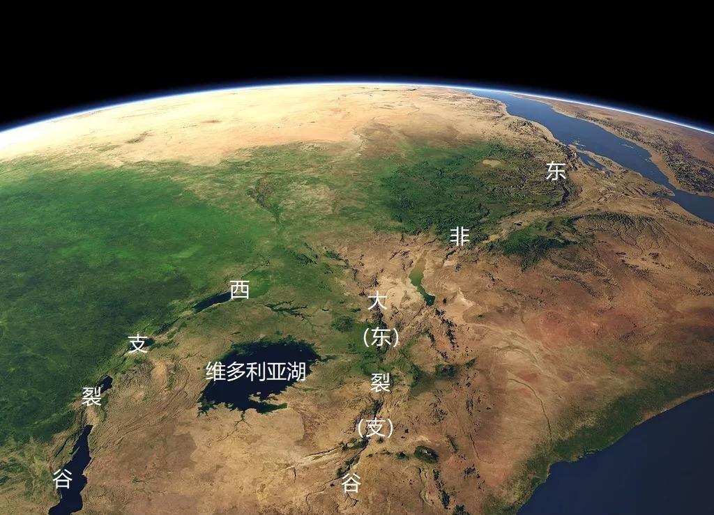 科学|人都是女人生的，在人类出现之前，第一个女人是哪里来的？