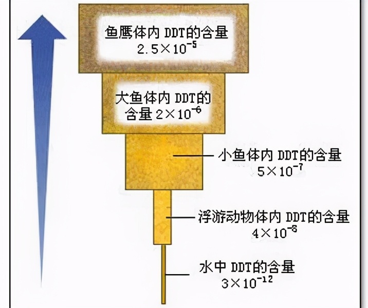|南极已不再是净土，南极冰层沉降2000吨DDT，企鹅体内都被检测出