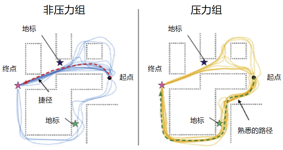 图片来源：Brown, Gagnon & Wagner, 2020