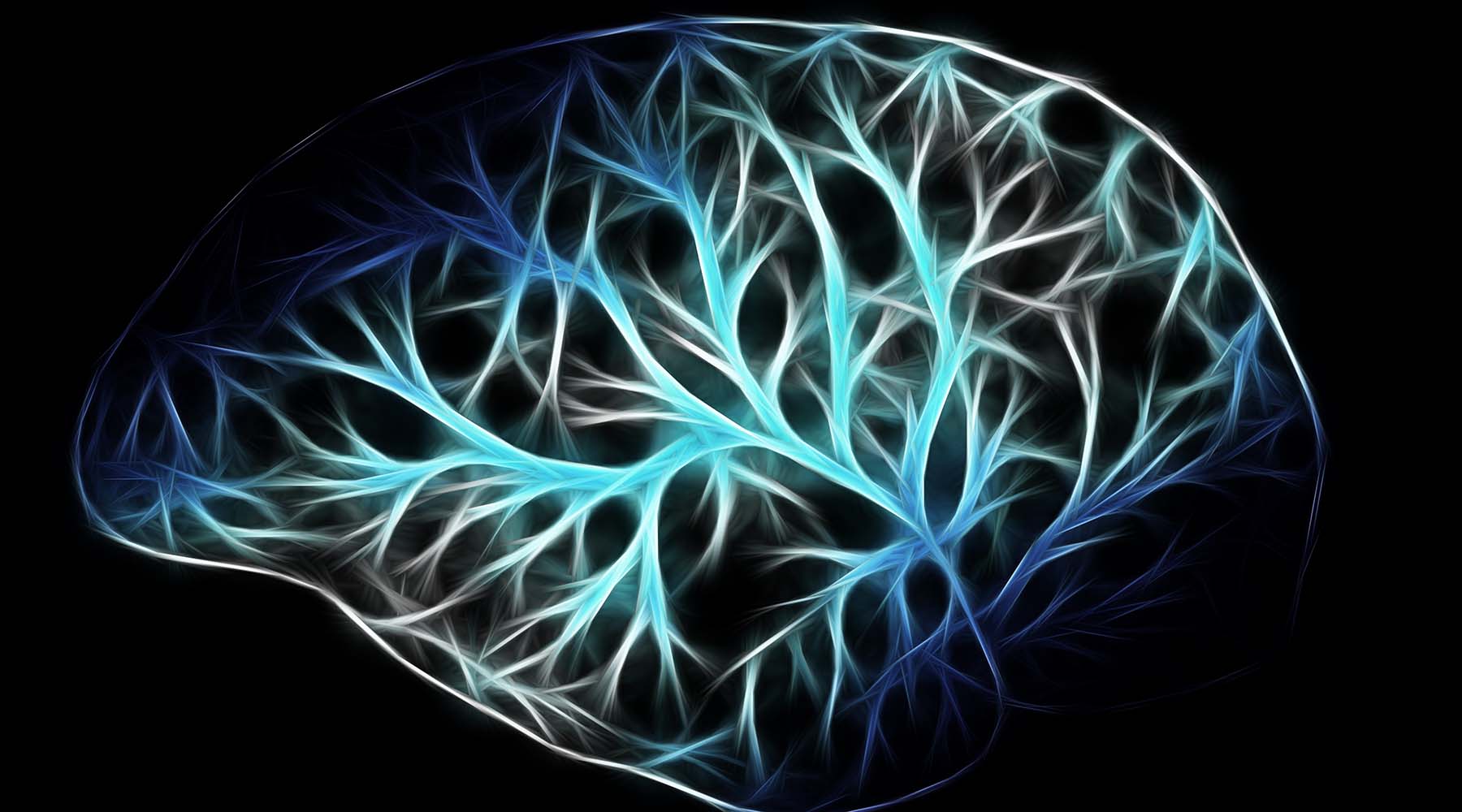 科学|整个人体就是一堆基本粒子，粒子没有思想，可人为什么会有？