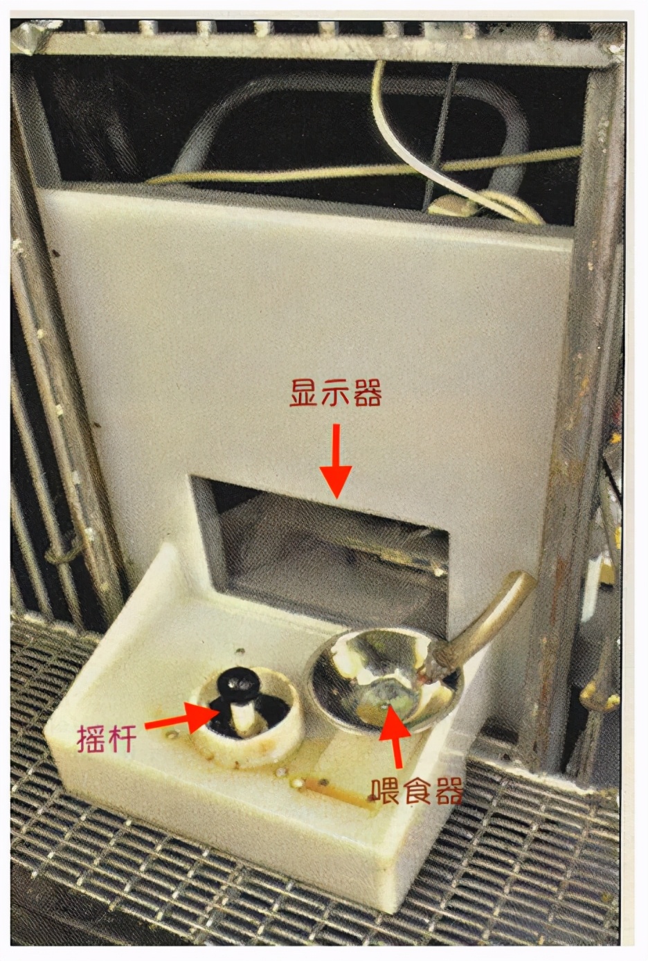 图源：文献1